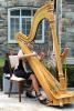 Harpist Suzanne Sugar | Photo by Andrea Pohl