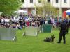 Czech Born Dog Show