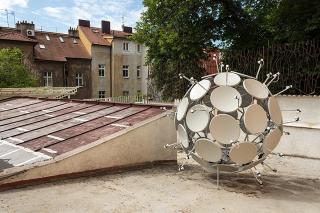 Complex Nest - Jakub Geltner 