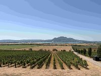 Visit to Czech Wineries