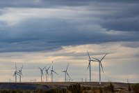 Windfarm