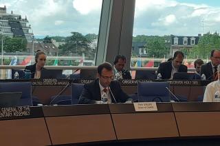 Ředitel mezinárodněprávního odboru JUDr. Petr Válek prezentoval ve Výboru ministrů RE zprávy Výboru poradců RE pro mezinárodní právo veřejné
