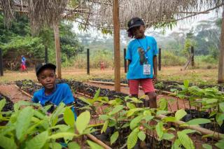 Olvie Missoula and Davilla Ntsemenke in Kabilon in a nursery with coconut seedlings.