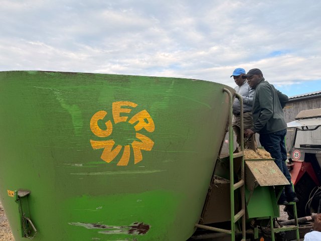 Cernin - Zambia