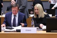 Náměstek Miller v Bruselu