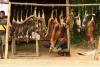 Lack of law enforcement issues in catastrophes. Bushmeat hunting imperils all wildlife: Mammals, birds and even reptiles. It represents a major threat for the biodiversity such as in the Congo Basin: Illegal display of poached animals for sale.