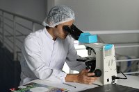Research in Algeria