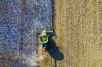 Agriculture