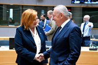 ECOFIN 06_07