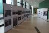 ADA - exhibition by Dana Kyndrová 3