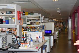  Imperial College - laboratoře