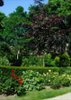 045-19 Jardin PW _page-0001