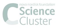 NovoNordisk