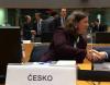 Milena Hrdinkova GAC Brusel kveten 2019