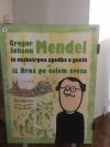 G. J. Mendel a strastiplný příběh genů
