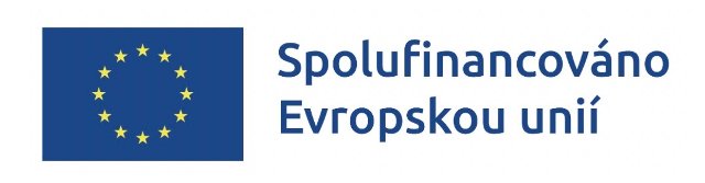 Projekt Realizace konzulárního školícího modulu 