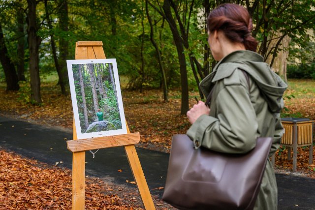 © University of Sopron