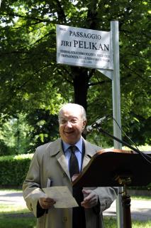 pelikan 4