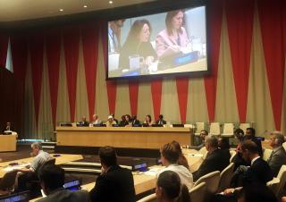 ECOSOC and DSG - Reform of the UN Development System