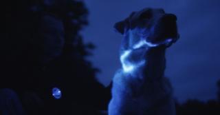 Retriever 