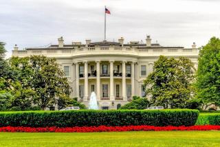 Statement of the MFA on the Presidential Elections in the USA