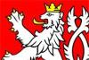 Lvicek