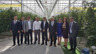 The visit of  the Green Teechs tomato plantation