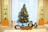Czech Christmas with Universities