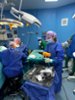 Čeští zdravotníci pomáhali pacientům v Pobřeží slonoviny/ Czech Medical Team Helps Patients in Côte d’Ivoire