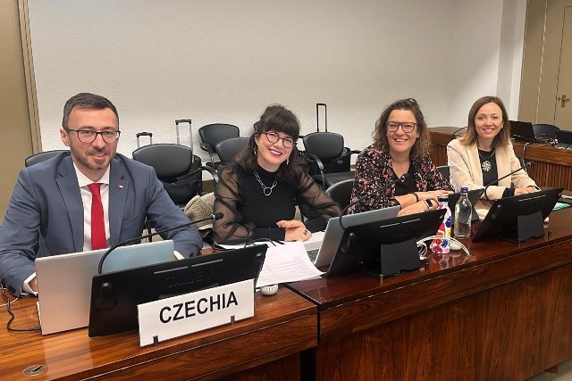 CEDAW panel