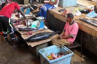 COM Gran Comoros J038  Moroni fish market, Grande Comoros.  John Crane  Flickr