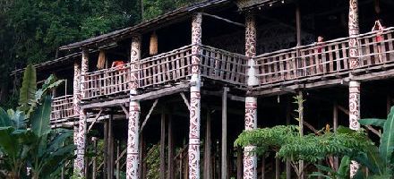 Orang asli rumah