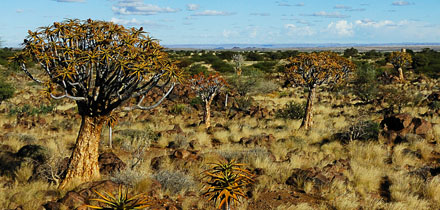 Namibie panorama