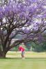 Royal Johannesburg & Kensington East Championship course in pristine condition