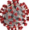virus