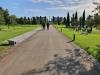 National Memorial Arboretum