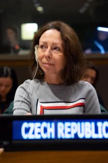 Czech Republic elected to the UNICEF Bureau