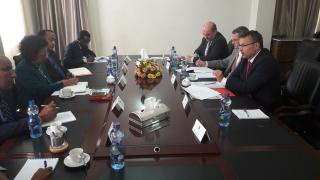 Political Consultations of DM Tlapa and Ethiopia MFA