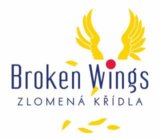 Broken Wings