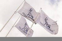 Novo Nordisk
