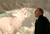 Men in Rut