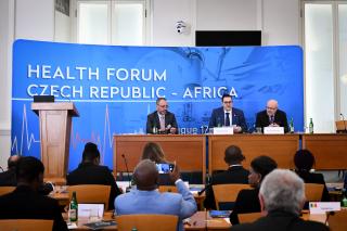 Ministerstvo zahraničních věcí pomáhá českým zdravotním systémům proniknout do Afriky