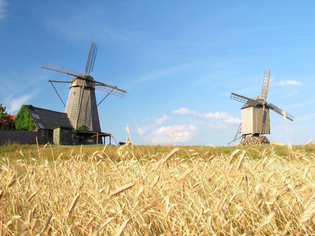 Saaremaa tuulikud