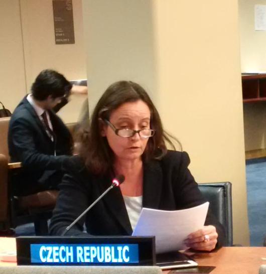 vv Hrda 20 10 2015 disarmement GA