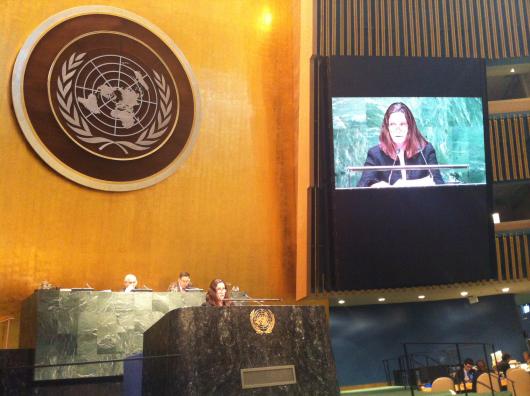 vv Hrda v OSN k antisemitismu