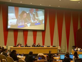 Coordination and Management Meeting ECOSOC