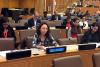 UNICEF Executive Board - Czech Republic