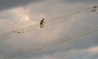 Ethiopia-Kenya HVDC Interconnector, Lineman in Ethiopia.jpg