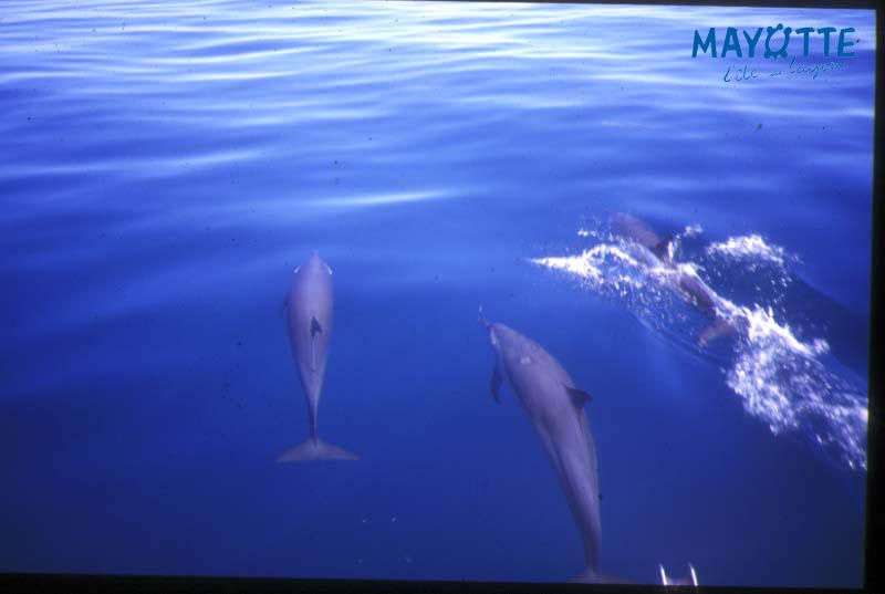 Mayotte