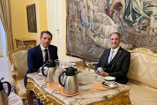 Meeting of the Deputy Minister Kozák with the Qatari Ambassador